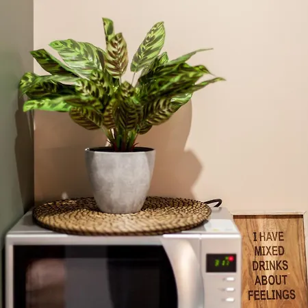 Flh Campo Ourique Afro-bohemian Retreat * Lisboa